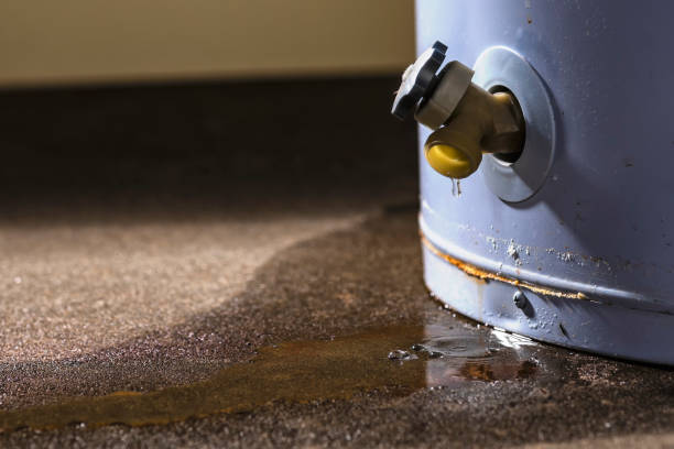 Best Residential water damage restoration  in Allendale, NJ