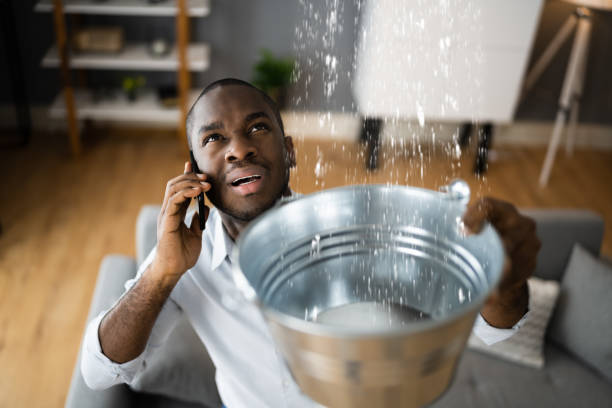 Best Water damage mitigation services  in Allendale, NJ