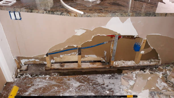 Best Residential water damage restoration  in Allendale, NJ