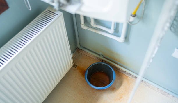 Best Water damage restoration near me  in Allendale, NJ