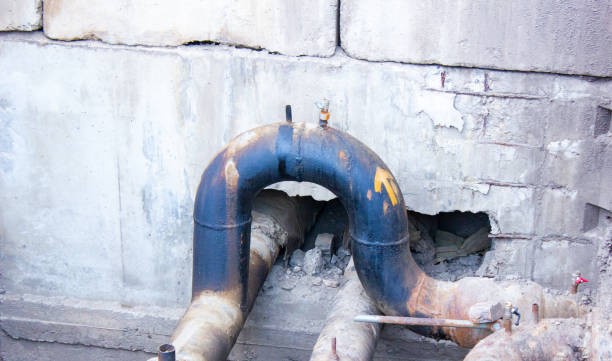 Best Local water damage restoration  in Allendale, NJ