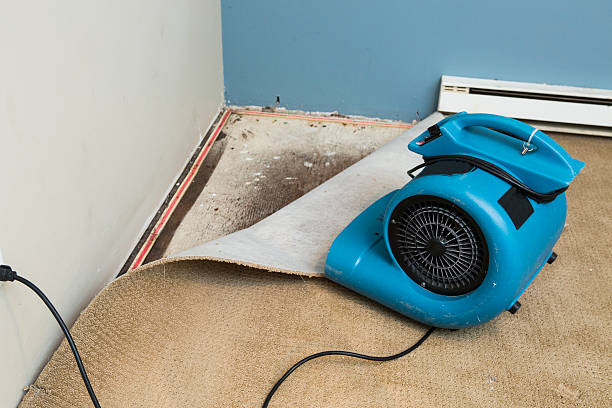 Best Fire Damage Restoration  in Allendale, NJ